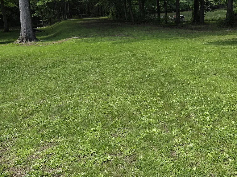 TVA Access Path