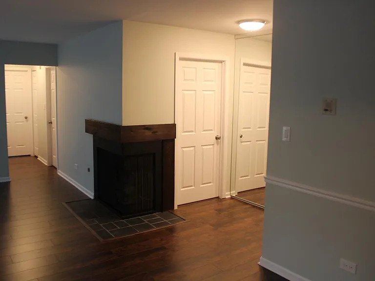 TV Room fire place