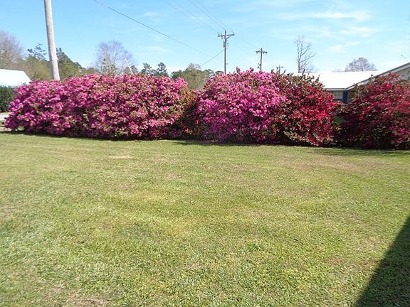 5th image of 207 Hilltop Dr