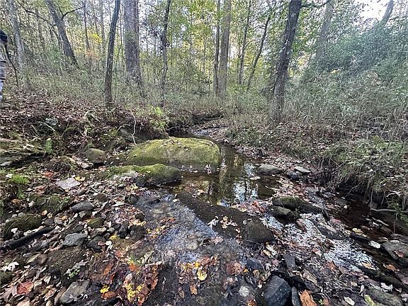 2nd image of 0 Lee Mashburn Rd