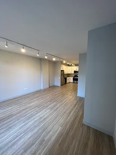 331 S Wells St #1004 Photo 1