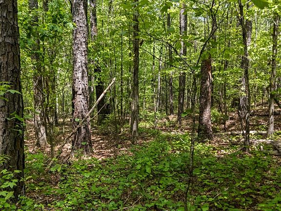 5th image of 0 Liberty Hill Rd