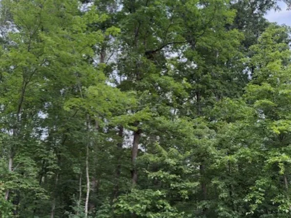 Hidden Valleys Rd, Palmyra, VA 22963