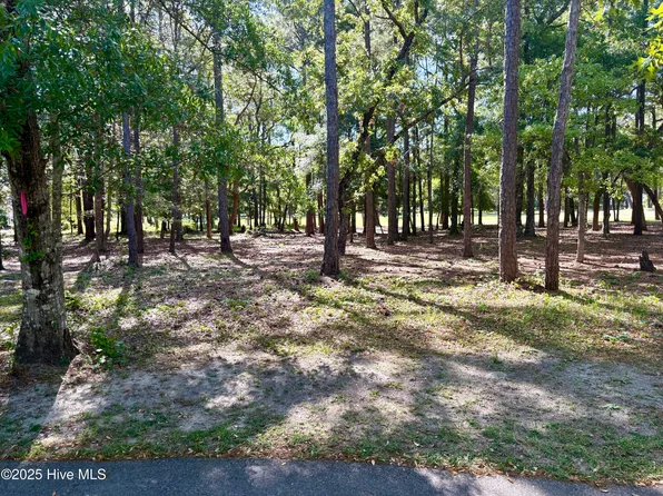 186 Egret Court SW, Supply, NC 28462