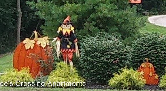 2nd image of 5370 Lees Crossing Dr APT 7