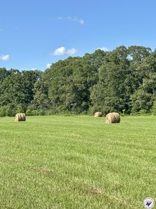 Daniels Chapel Rd, New Boston, TX, 75570