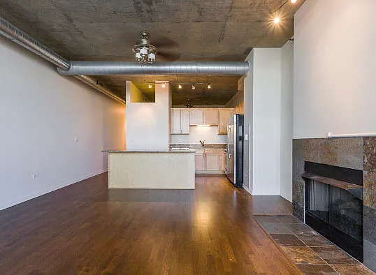 700 N Larrabee St #1704 — Photo 16