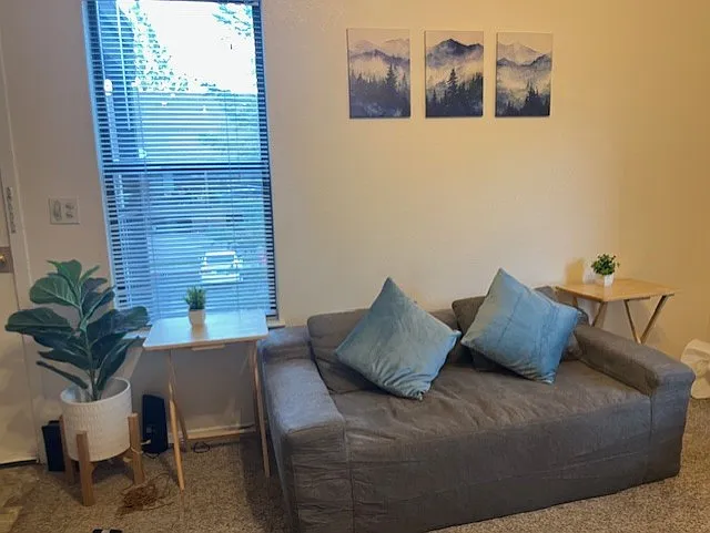 Newly furnished LR sofa near window