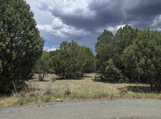 221 Antler Dr #8, Alto, NM 88312