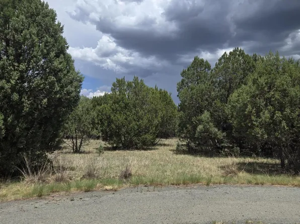 221 Antler Dr #8, Alto, NM 88312