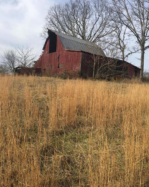 1st image of 561 Grey Acres Ln
