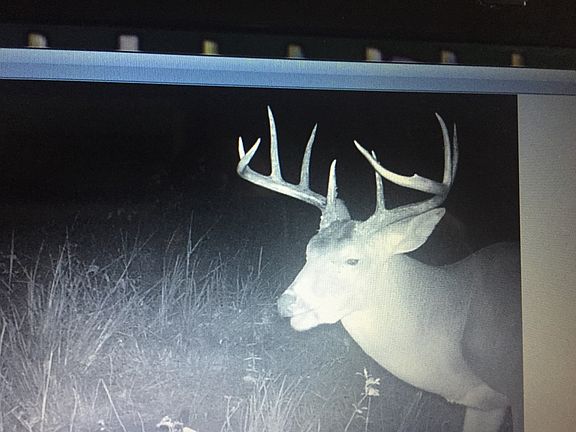 5th image of Dump Rd Lot Wp002