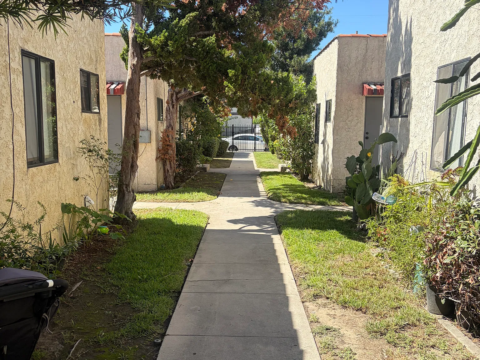 1 bed, 610 sqft, $1,950 — Photo 1