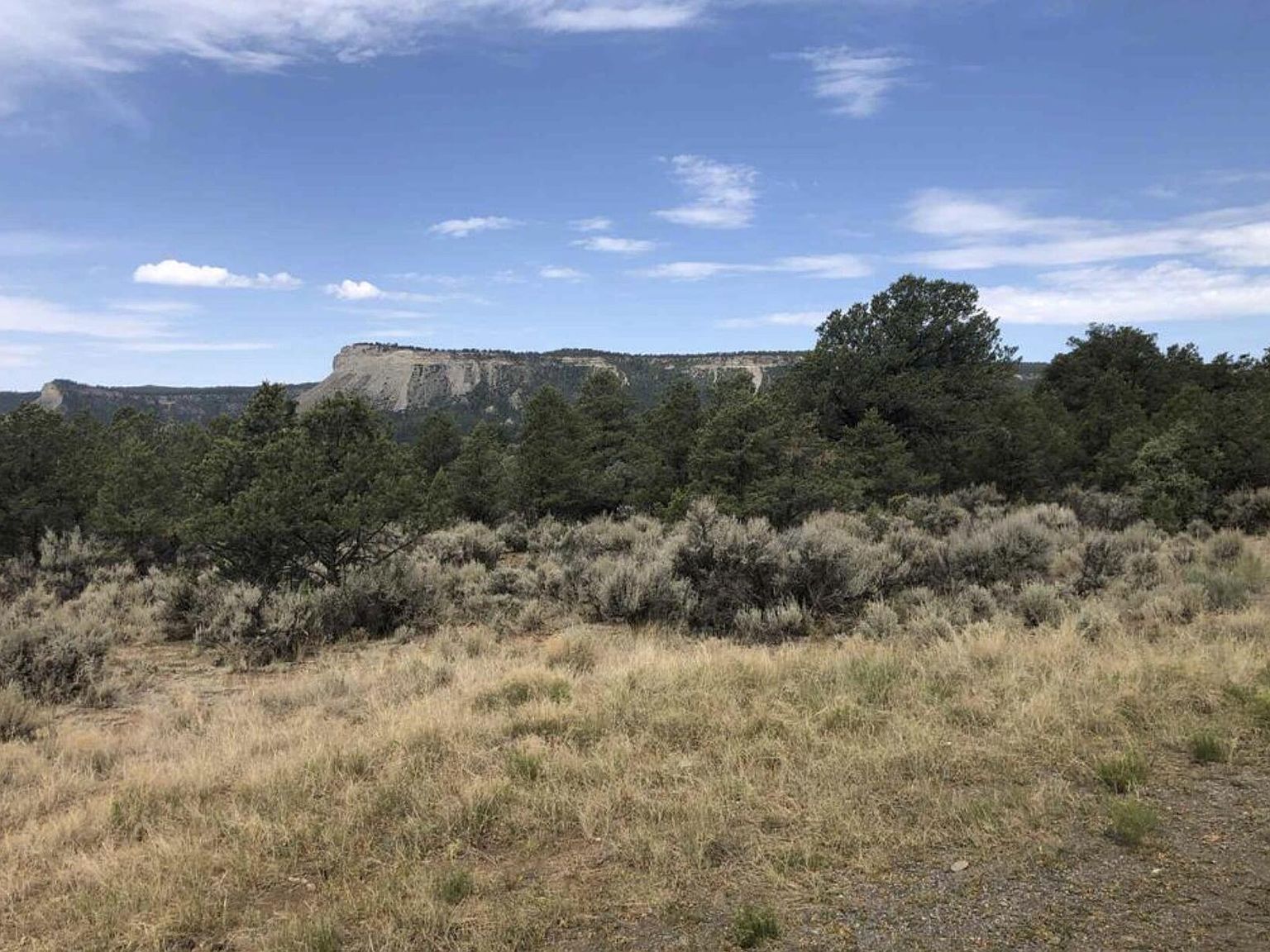 Leaning LOT A, Tierra Amarilla, NM 87575 MLS 1034526 Zillow