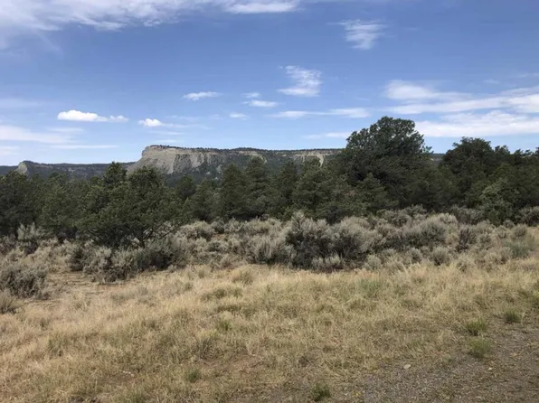 Leaning Lot B, Tierra Amarilla, NM 87575