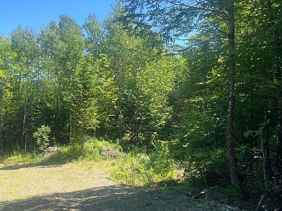 2nd image of Lot 23.3 Forest City Road