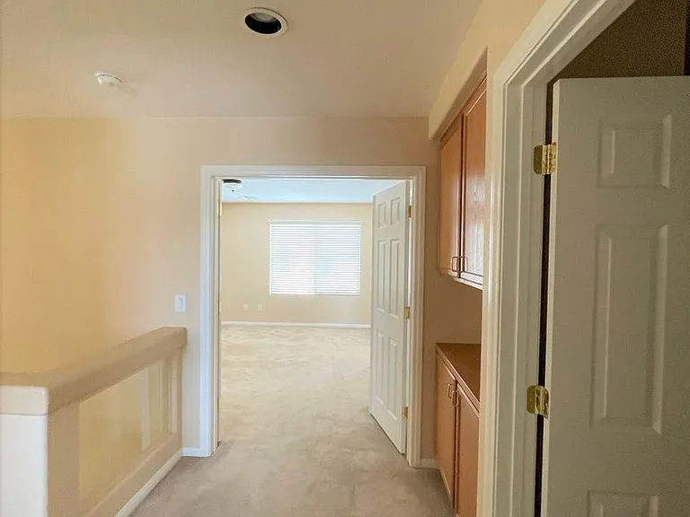 10595 Salmon Leap St — Photo 24