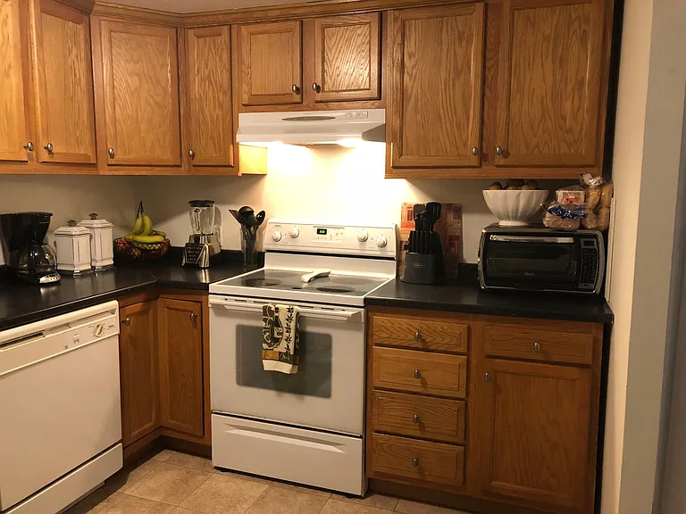Silver Beech Dr — Photo 12