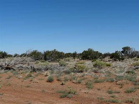 3rd image of 282 Chevlon Canyon Rnch Unit 3