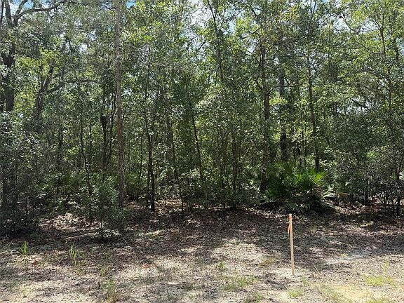 3rd image of 109 PINELLAS STREET LOT 11