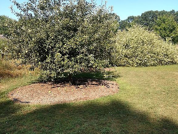 2nd image of 2744 Foxglove Dr