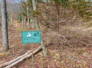 43 Canal St, Davis, WV 26260