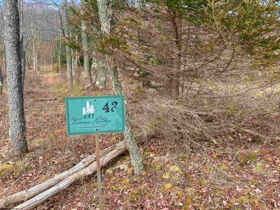 43 Canal St, Davis, WV, 26260