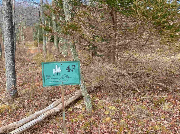 43 Canal St, Davis, WV 26260