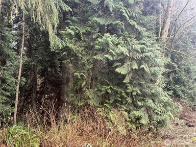 0 325th Street NW, Stanwood, WA, 98292