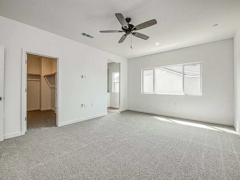 Master bedroom with walk-in closet