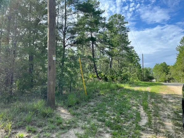 7325 N Fairport Ave, Dunnellon, FL 34433