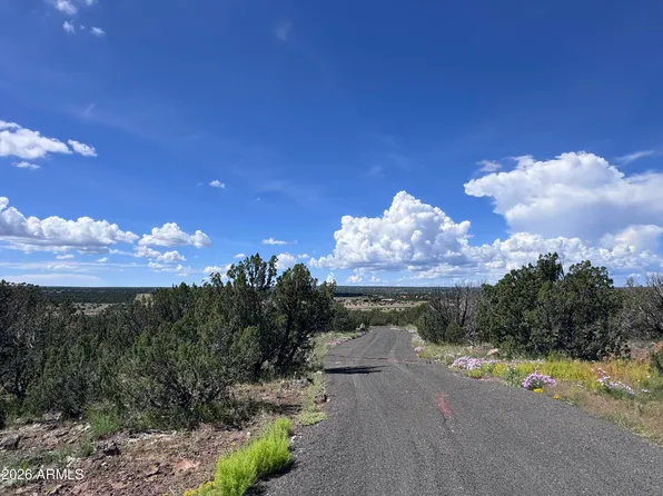 1939 BOURDON RANCH Road #-, Show Low, AZ 85901
