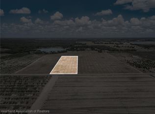 4339 Rattlesnake Rd, Lake Wales, FL 33898