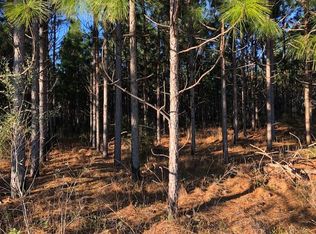 State Highway 134, New Brockton, AL 36351