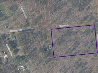 1962 Woodland St, Binghamton, NY 13903