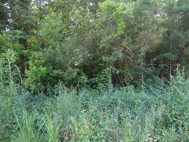 2nd image of 29524 Lyon Ln