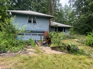 6231 Wayland Rd, Ravenna, OH 44266