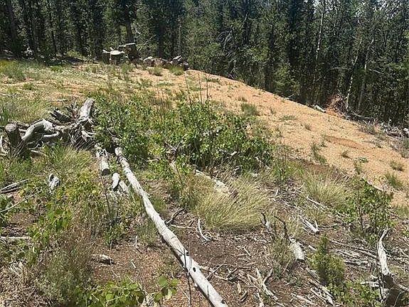 4th image of 110 Brown Bear Ln