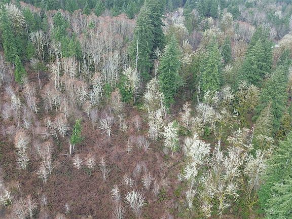 5th image of 573 Clearwater Road