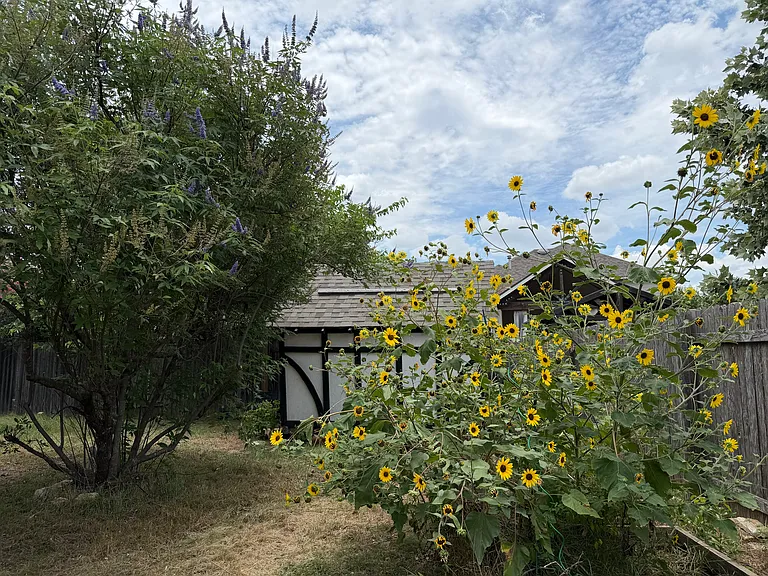 3304 Merlin Ct — Photo 43