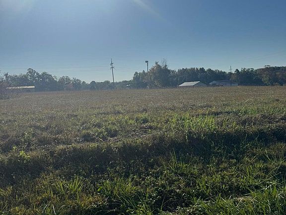 3rd image of 462 Reese Rd
