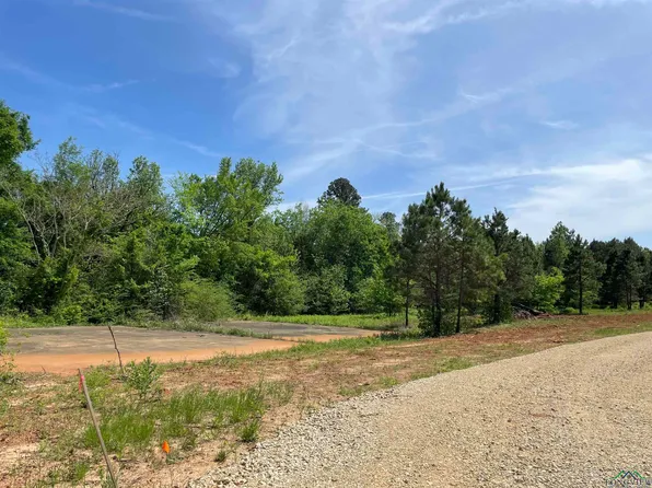 Trump Ln, Gilmer, TX 75645