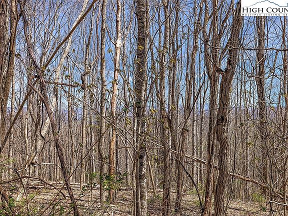 4th image of Tract 105 Buckeye Creek