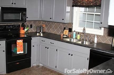 Kitchen - newly renovated : Cabinets recently painted, dishwasher and stove are less than 3 years ol