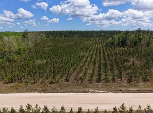 TRACT 3 Owens Ferry Rd, White Oak, GA 31568