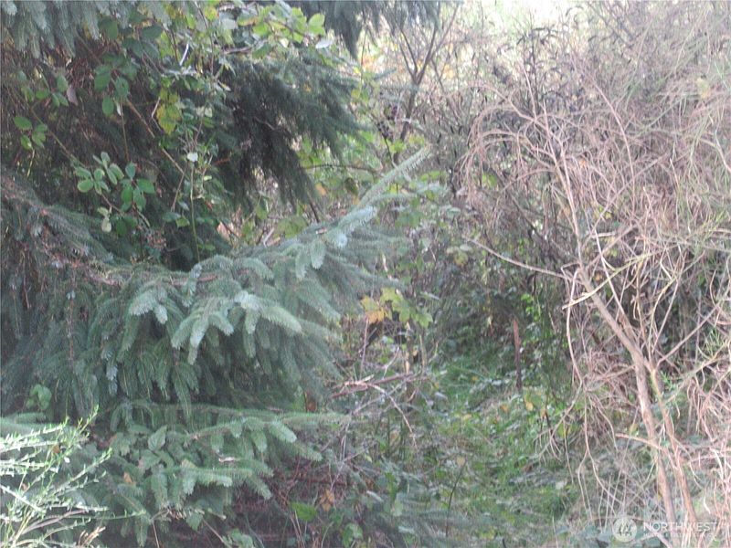 3rd image of 0 Driftwood Dr Drive