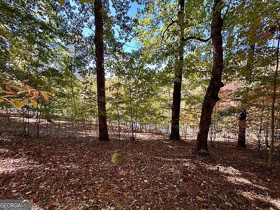 5th image of 29 Forked Leaf Rd