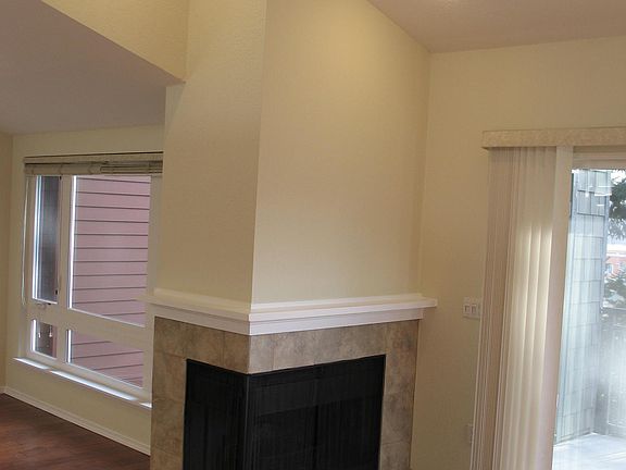 Wood Burning Fireplace