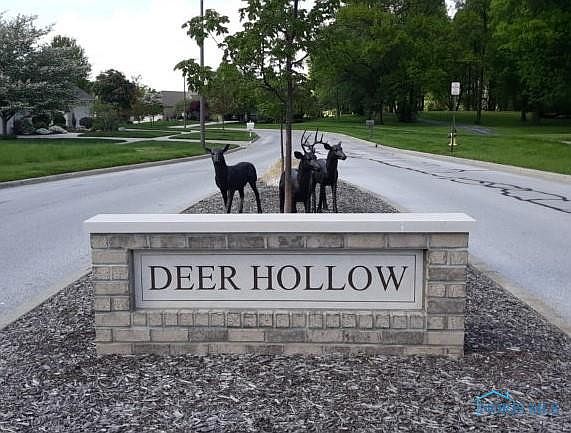 2nd image of 1000 Deer Ridge Run