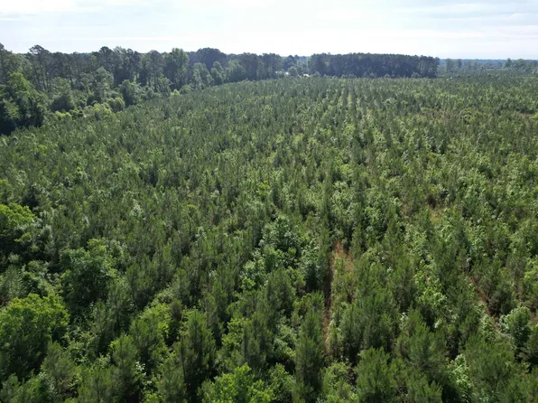 20 Acres - TBD Highway 260, Manning, SC 29102